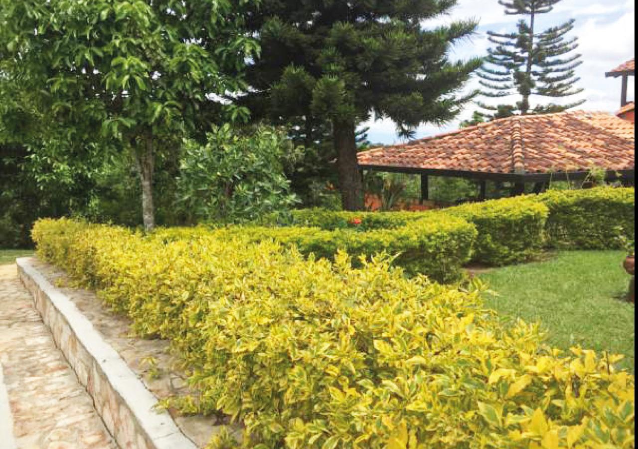 Hotel Cristo Rey Campestre Los Santos  Luaran gambar